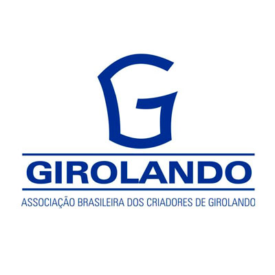 Top Tecnologia